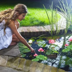 Mesh Aquatic Plant Pot - Set om 4 för vattenträdgårdar Round shape