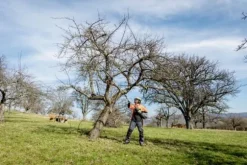 Metabo MA-MS 25 hög beskärningsutrustning