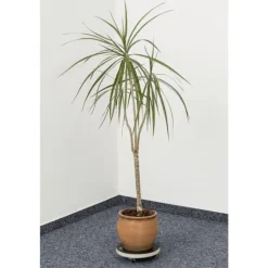 Metafranc WU0822030 Transportvagn Last (max.): 100 kg 200 mm x 52 mm Antal länkhjul 3