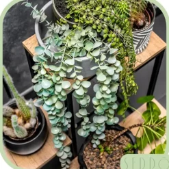 Metallstående blomställ för blommor, växter, krukor, industriell hylla 68