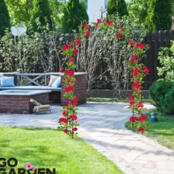 Metallträdgårdspergola för blommor, rosor, klätterväxter, stöd, båge, ankare, trädgård