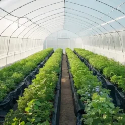 4Mil Plastfolierulle, 3x50 FT, Tungt Duty Polyeten, Svart