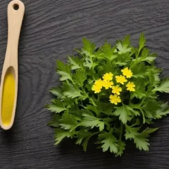 Mizuna japansk senap 0,5 g PlantiCo frön