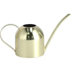 1000ML Vattenkanna Inomhus Vintage Rostfritt Stål Suckulenta Blommor Växter Vattenkokare Guld