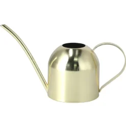 1000ML Vattenkanna Inomhus Vintage Rostfritt Stål Suckulenta Blommor Växter Vattenkokare Guld