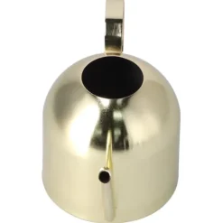 1000ML Vattenkanna Inomhus Vintage Rostfritt Stål Suckulenta Blommor Växter Vattenkokare Guld