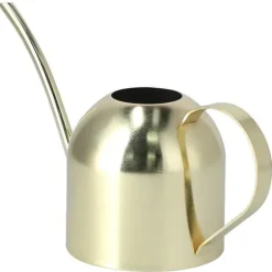 1000ML Vattenkanna Inomhus Vintage Rostfritt Stål Suckulenta Blommor Växter Vattenkokare Guld