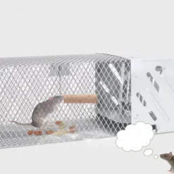 Möss fångstbur Rostfritt stål helautomatisk dubbeldörrdesign Känslig musfällabur för inomhusbruk