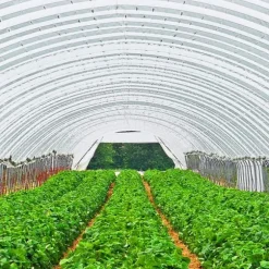 7,3Mx15,2Mx0,15MM polyeten växthusfilm, utmärkt styrka och seghet, UV-beständig, lång livslängd, lätt att göra-det-själv