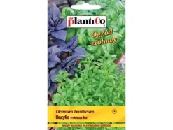 Nasiona Ocimum basilicum - basilika (blandning av olika sorter) frö 0.5g