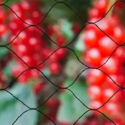 NATURE Primo 10 x 10 m svart fågelnät - 28 mm maskstorlek - 12 gr/m² polyeten