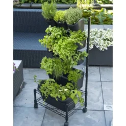 Naturvägg Trädgård Vertikal