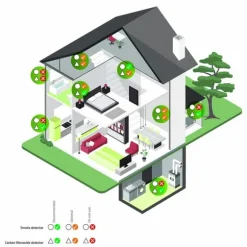 Nedis Kolmonoxid Alarm | Batteridriven | Batterilängd upp till: 5 år | Med paus knapp | Med testknapp | 85 dB | Vit