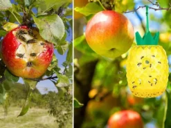 NoBzzz GETINGFÄLLA 2 stycken ÅTERANVÄNDBAR EFFEKTIV ANANAS