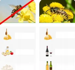 NoBzzz GETINGFÄLLA 2 stycken ÅTERANVÄNDBAR EFFEKTIV ANANAS