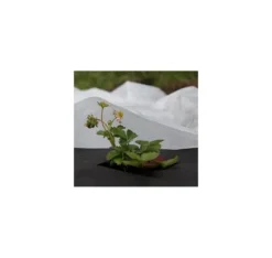 Non-woven 30g/m² vinter-vår, vit, 1,1 x 10m, 5st.