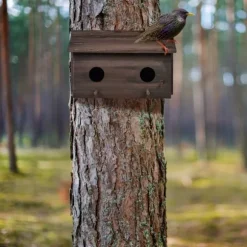 Nästlåda, Dubbel nästlåda, 22x35x18 cm, Brun