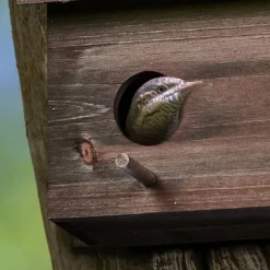 Nästlåda, Dubbel nästlåda, 22x35x18 cm, Brun