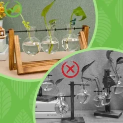 OBOSOE 6 St. Växtstöd – Stöd för Sticklingar, Skott och Växtstjälkar, Växthållare & Växtklämmor för Förökning och Inomhusträdgård