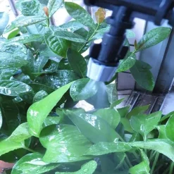 OBOSOE Bevattningssystem med dimningsmunstycken – portabel automatisk bevattning, 12 sprayhuvuden, 10m slang