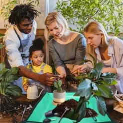 OBOSOE 13-delars Trädgårdsverktyg för Succulenter – Handtransplantationskit för Inomhusväxter och Bonsaier