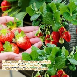 OBOSOE Hängande Odlingspåse/Odlingsväska - 8-håls Vertikal Jordlös Odling, Perfekt för Jordgubbar