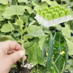 OBOSOE 5-pack Fröstartare Silikon, Plantbrätten med Pop-Out Celler 60 st, Inomhus Odling