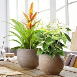 OBOSOE 4-pack växtstöd i metall – Guldfärgat klätterstöd i bikakemönster för krukväxter, blommor & klätterväxter