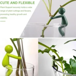 OBOSOE Växtförökningsstöd 6st, Sött Växtställ & Växtstöd för Sticklingar och Inomhusträdgård