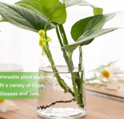 OBOSOE Växtförökningsstöd 6st, Sött Växtställ & Växtstöd för Sticklingar och Inomhusträdgård