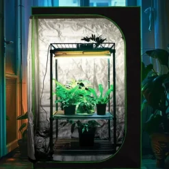 Odlings tält, 200x240x120 cm, Svart