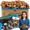 Odlingskit för bruna svampar, mycel, 5 kg, hemmaodling + gratis