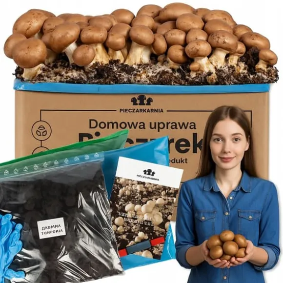 Odlingskit för bruna svampar, mycel, 5 kg, hemmaodling + gratis