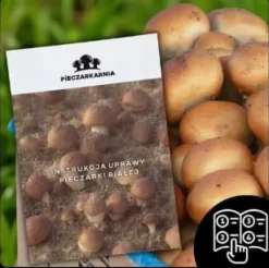 Odlingskit för bruna svampar, mycel, 5 kg, hemmaodling + gratis