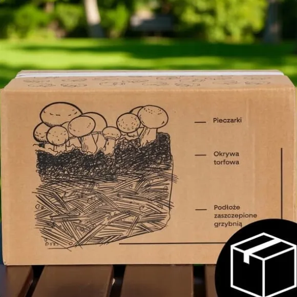 Odlingskit för bruna svampar, mycel, 5 kg, hemmaodling + gratis