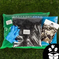 Odlingskit för bruna svampar, mycel, 5 kg, hemmaodling + gratis