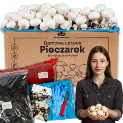 Odlingskit för svampmycelium 8 kg, instruktioner för hemmaodling + gratis gåva