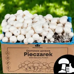 Odlingskit för vita svampar, 20 kg bal, 3-fas myceliumsubstrat, testat