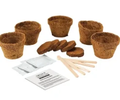 Odlingskit Köttätande Växt Gift Republic Ltd.