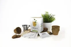 Odlingskit Öl Gift Republic Ltd.