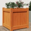 Odlingslåda i massiv furu - Perfekt för trädgård och balkong | Färg: Vaxbrun | Storlek: 40x40x40 cm