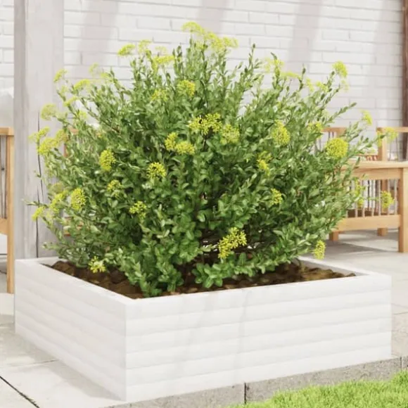 Odlingslåda i massiv furu 80x80x23 cm - Perfekt för blommor och växter | Färg: Vit | Storlek: 80x80x23 cm