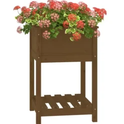 Odlingslåda med hylla i massiv furu - Elegant design | Färg: Honungsbrun | Storlek: 54x54x81 cm
