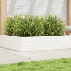 Odlingslåda vit 100x100x23 cm massiv furu