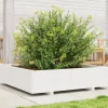 Odlingslåda vit 100x100x26,5 cm massiv furu