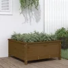 Odlingslåda 82,5x82,5x39 cm honungsbrun massiv furu