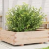 Odlingslåda 80x80x26,5 cm massivt furuträ