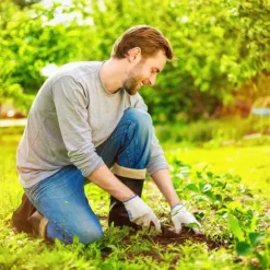 Ogräsduk, 150x5000 cm, Svart