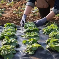 Ogräsduk, 120x1520 cm, Svart, Polypropen