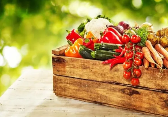 Optima Granulerad Kycklinggödsel 20l Naturlig ECO-gödsel Biovita